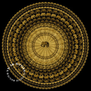 מנדלת פילים