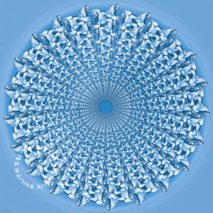 מנדלת סוסים תכלכלים