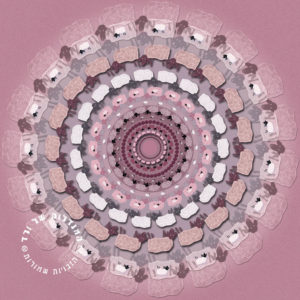 מנדלת כבשים בורוד