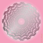 דולפינים כסופים על רקע ורוד